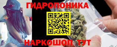 мяу мяу мука Кандалакша